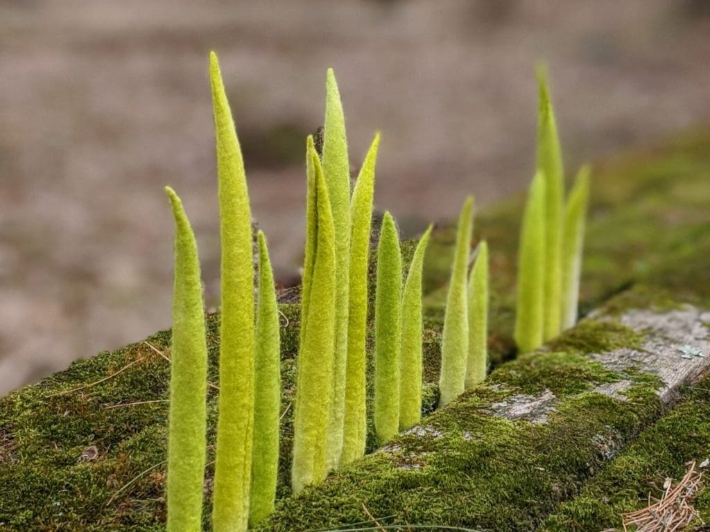 00100lrPORTRAIT_00100_BURST20200422145329447_COVER