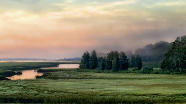 Ehrens_Neskatucket Marsh